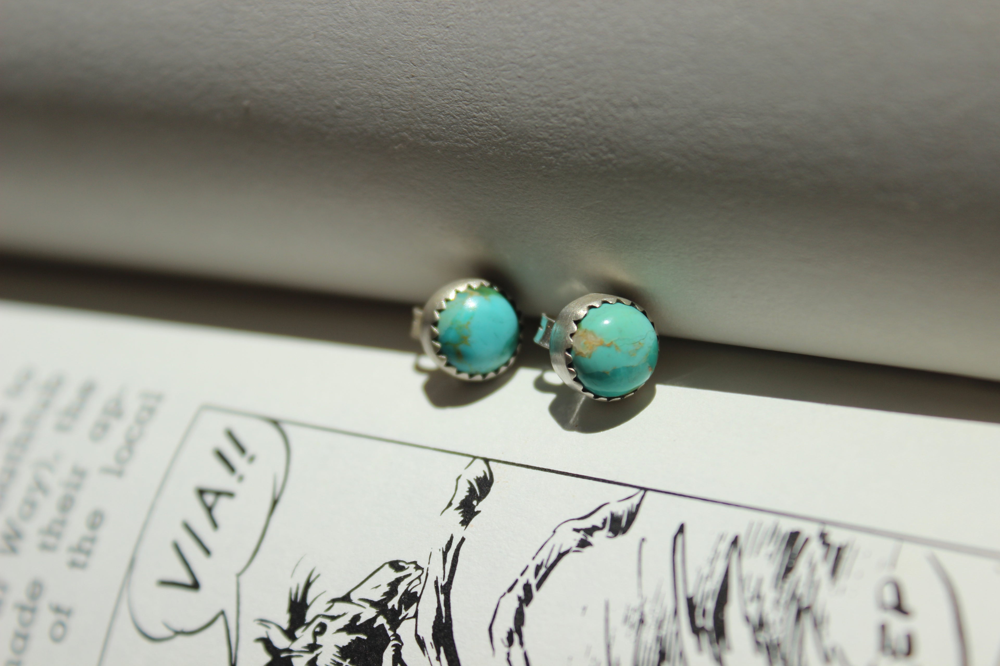 Turquoise Necklace and Earring Set