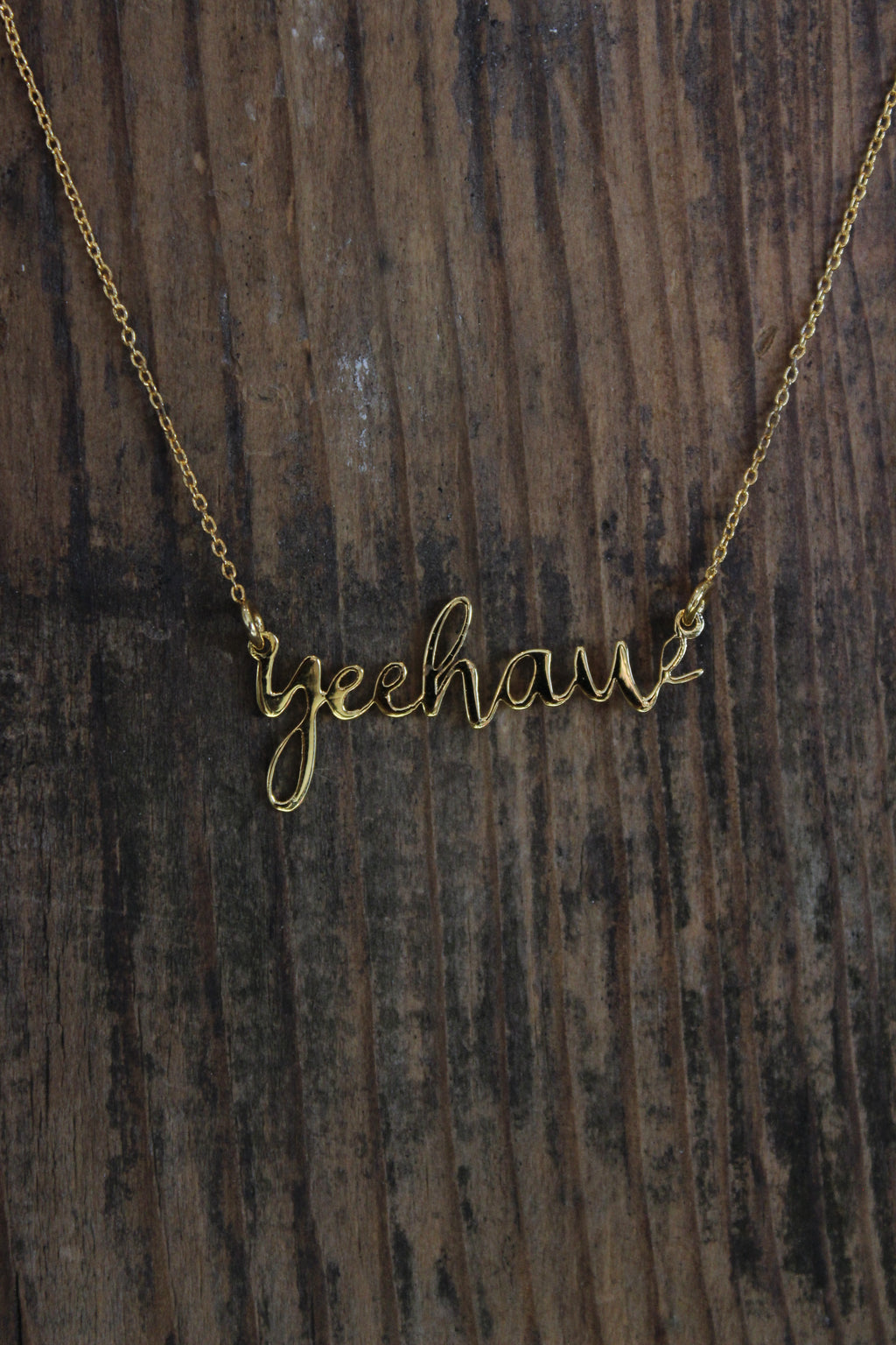 Yeehaw 14K Gold Plated Necklace