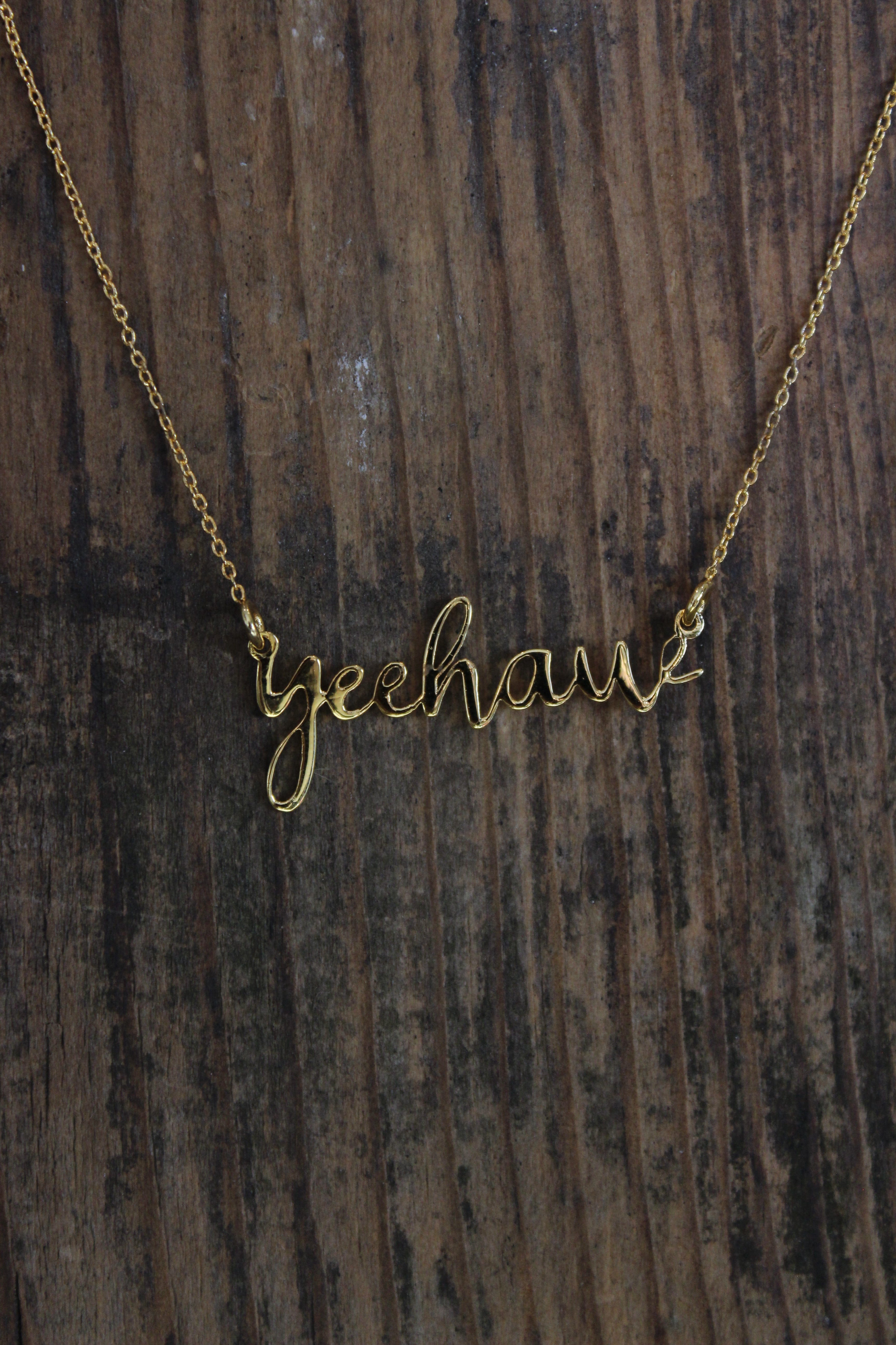 Yeehaw 14K Gold Plated Necklace