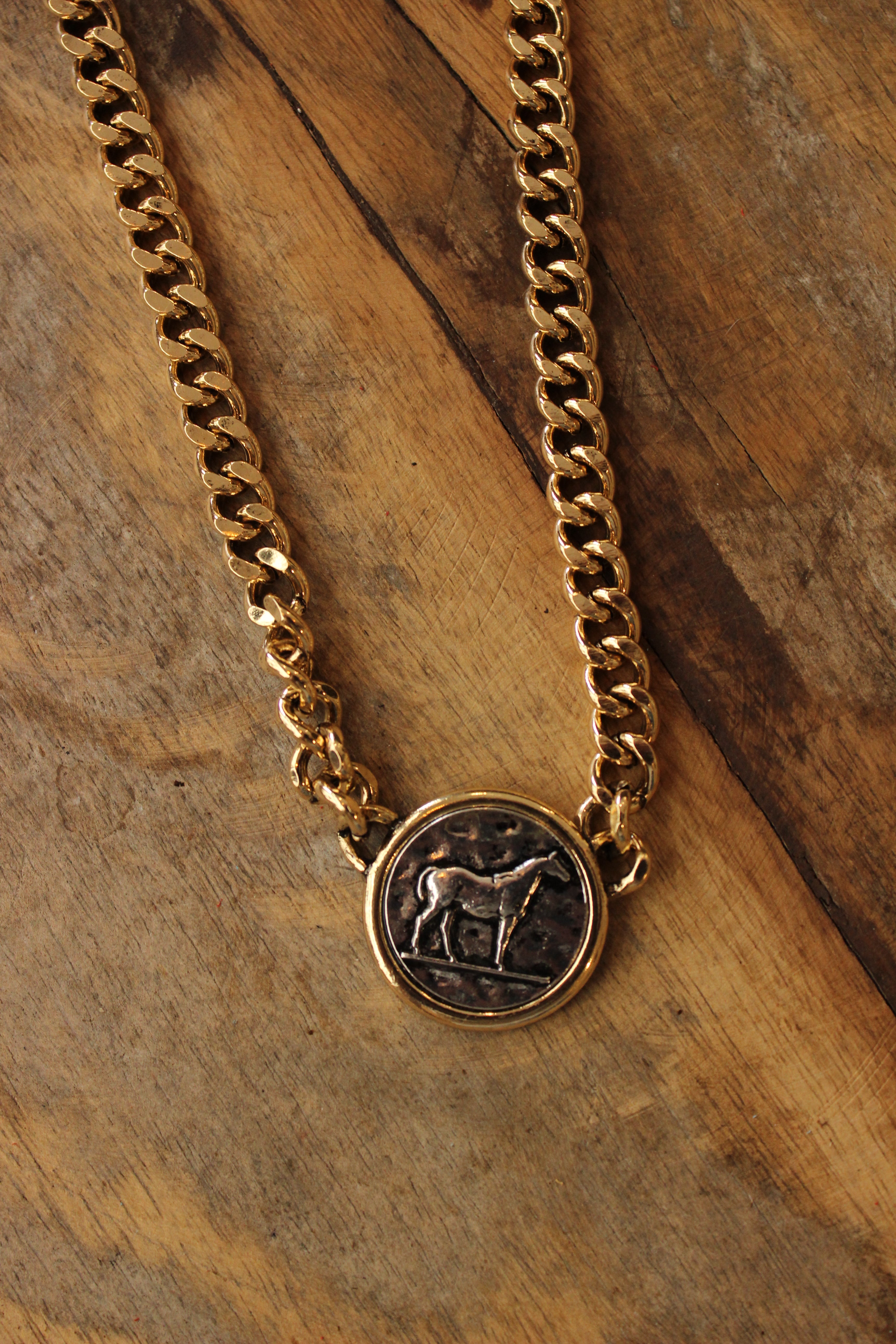 Two Tone Coin Necklace