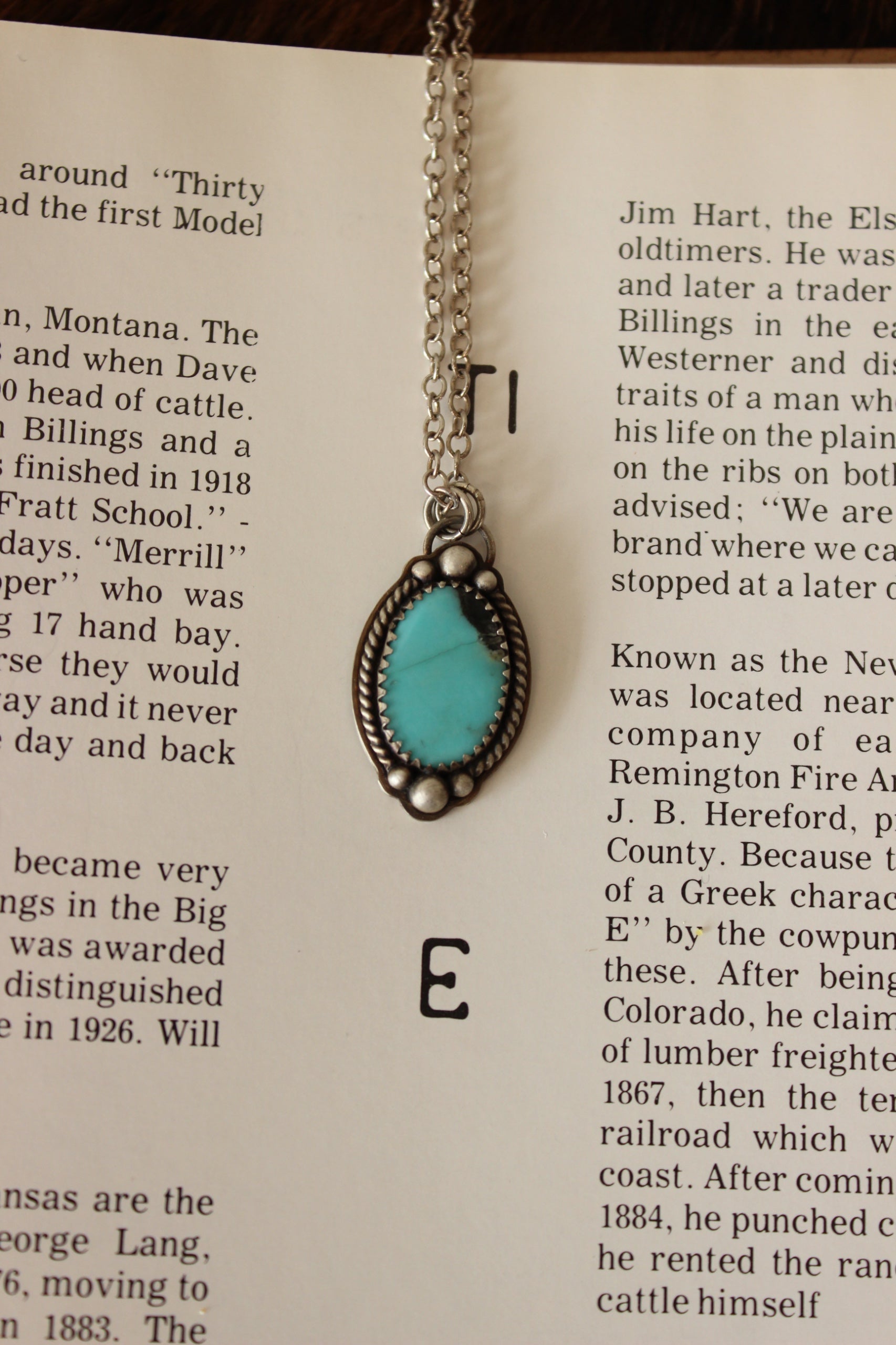 Alpine Oval Turquoise Necklace