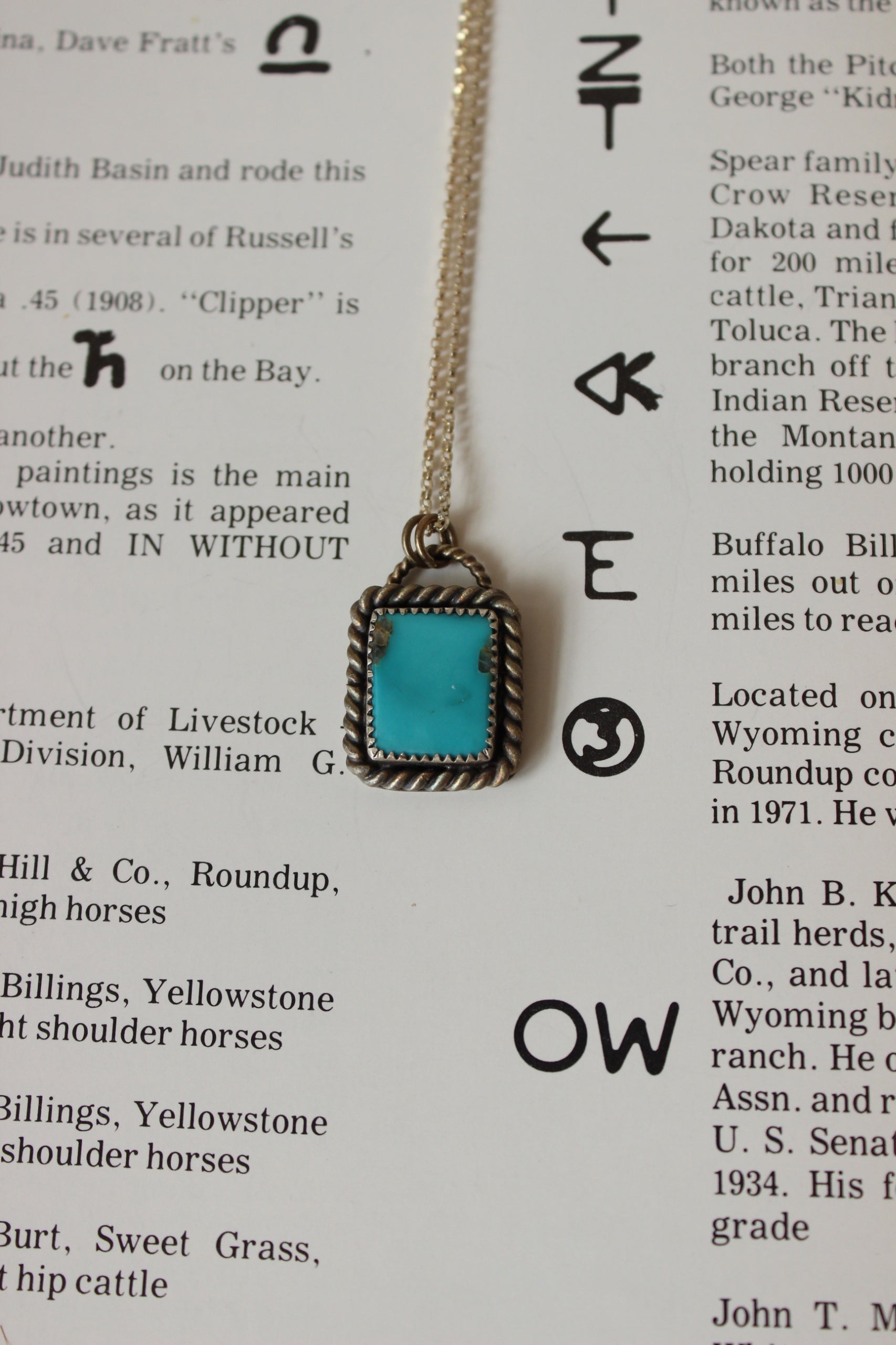Alpine Turquoise Necklace