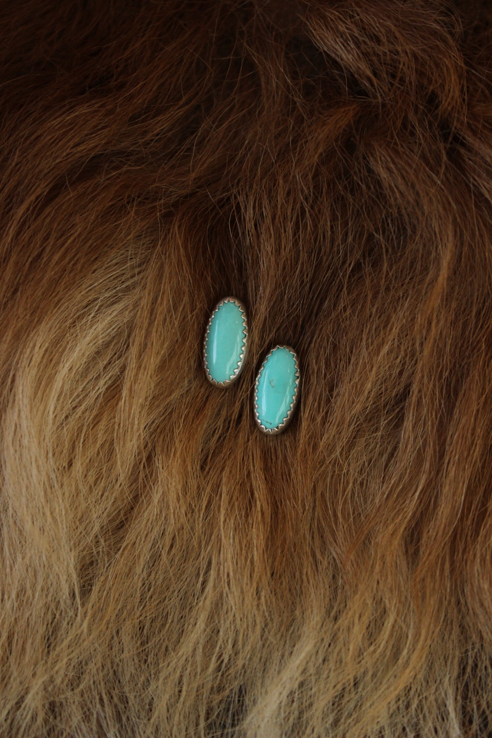 Campitos Turquoise Studs
