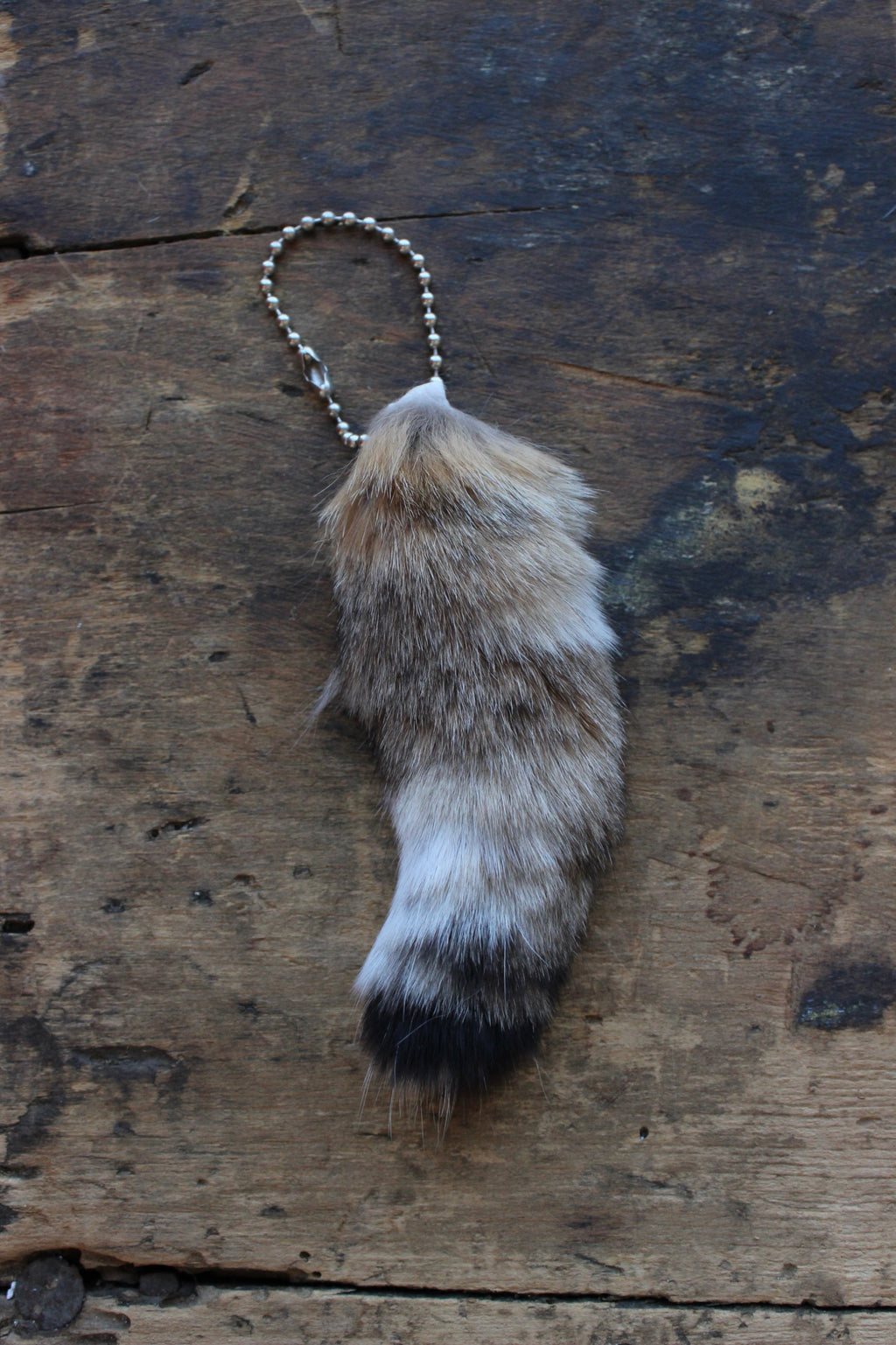 Bobcat Tail Keychains - Small