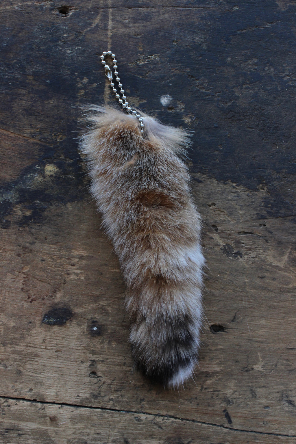 Bobcat Tail Keychain - Large