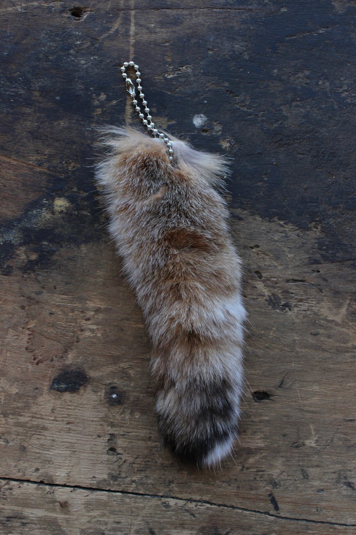 Bobcat Tail Keychain - Large