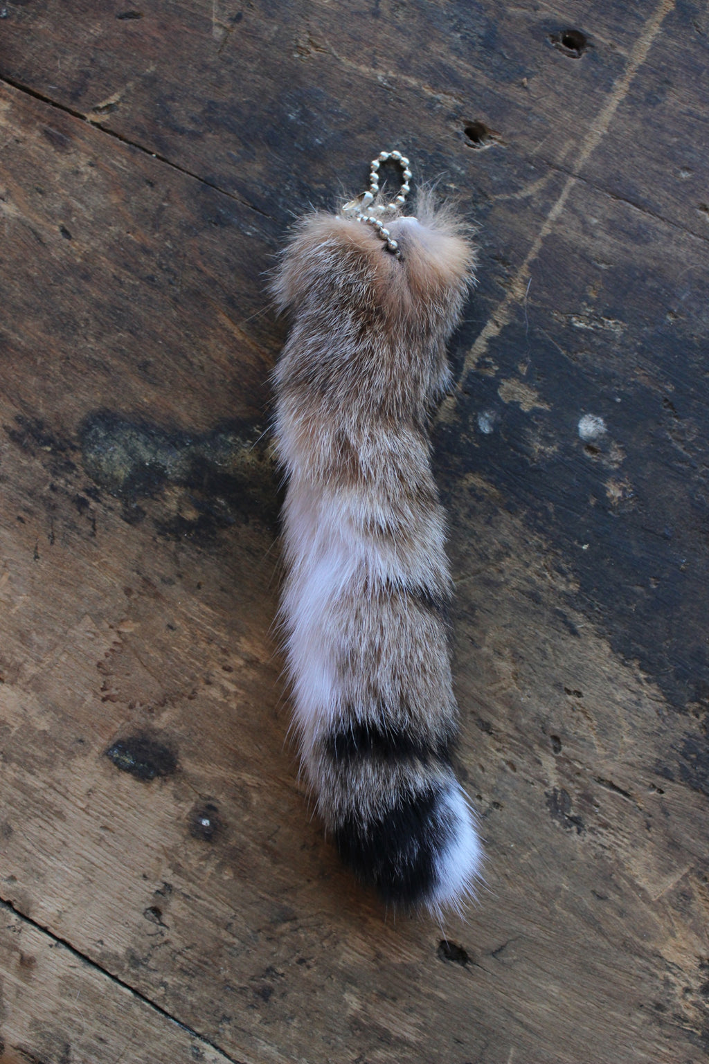 Bobcat Tail Keychain - Large