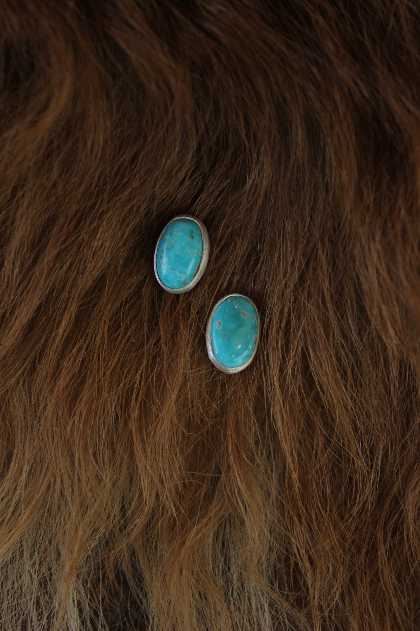 Sonoran Gold Stud Earrings