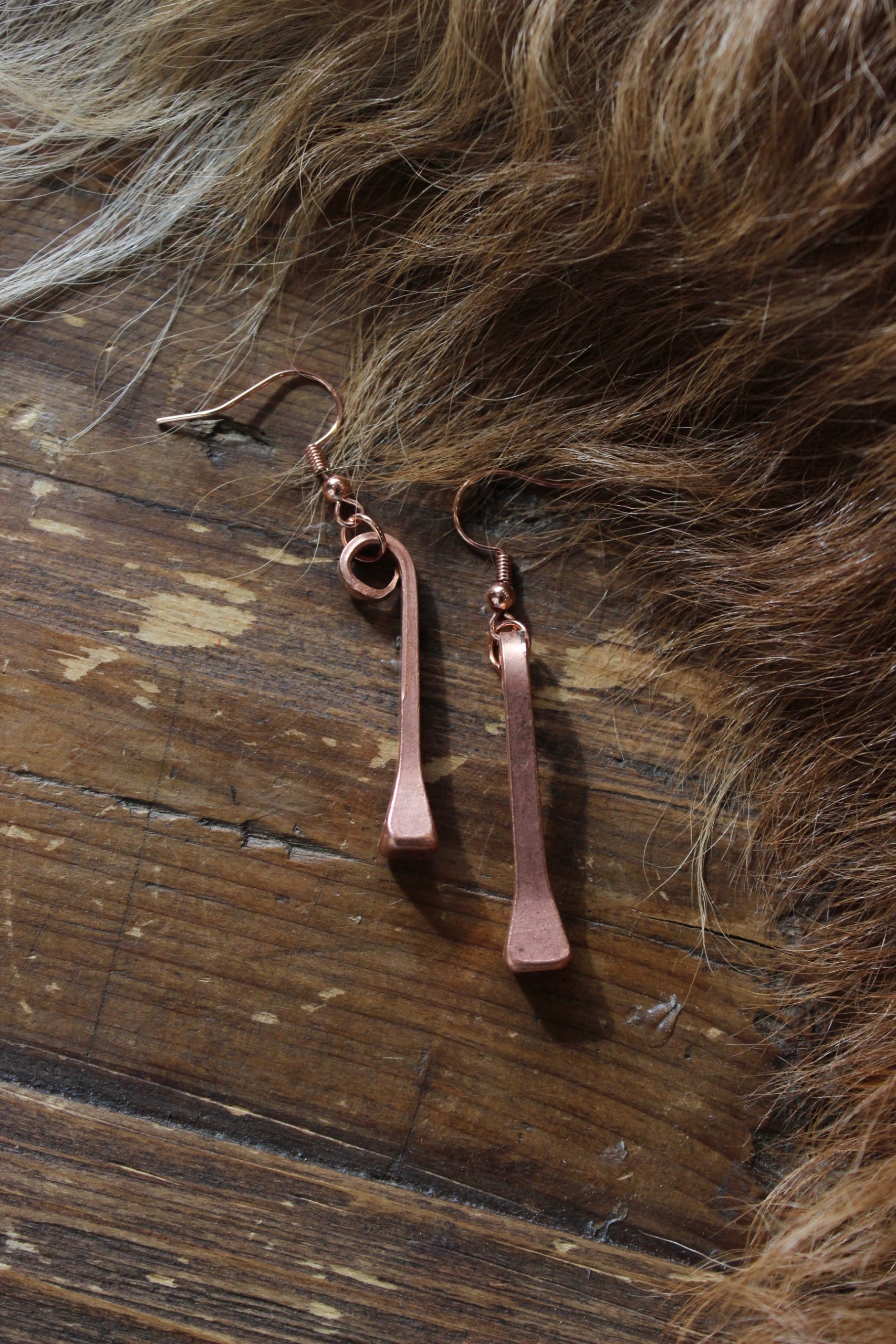 Horseshoe Nail Earring