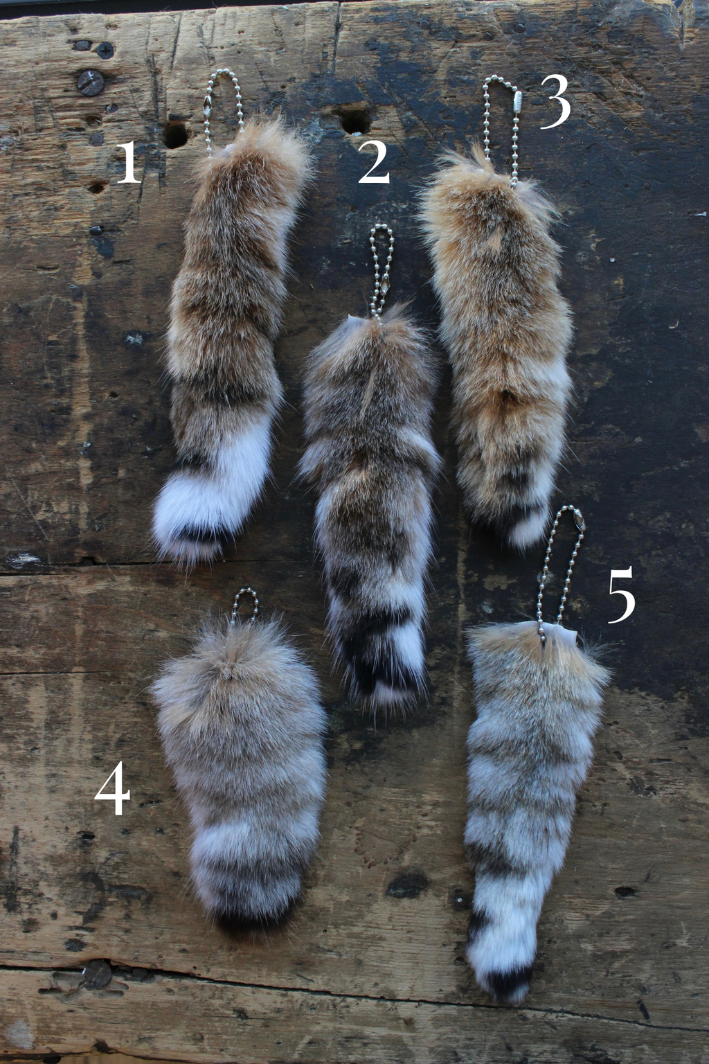 Bobcat Tail Keychain - Large