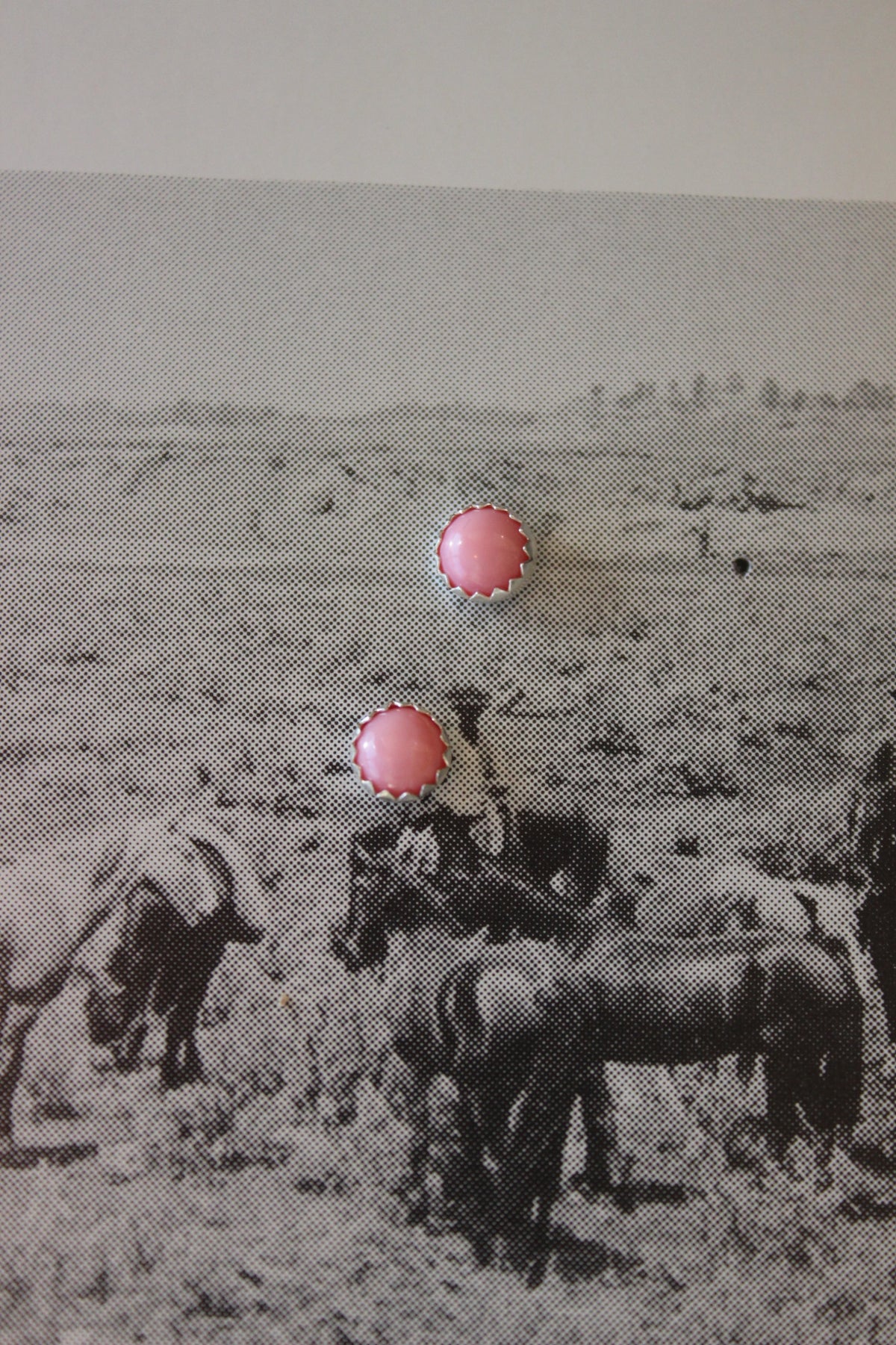 Pink Conch Studs