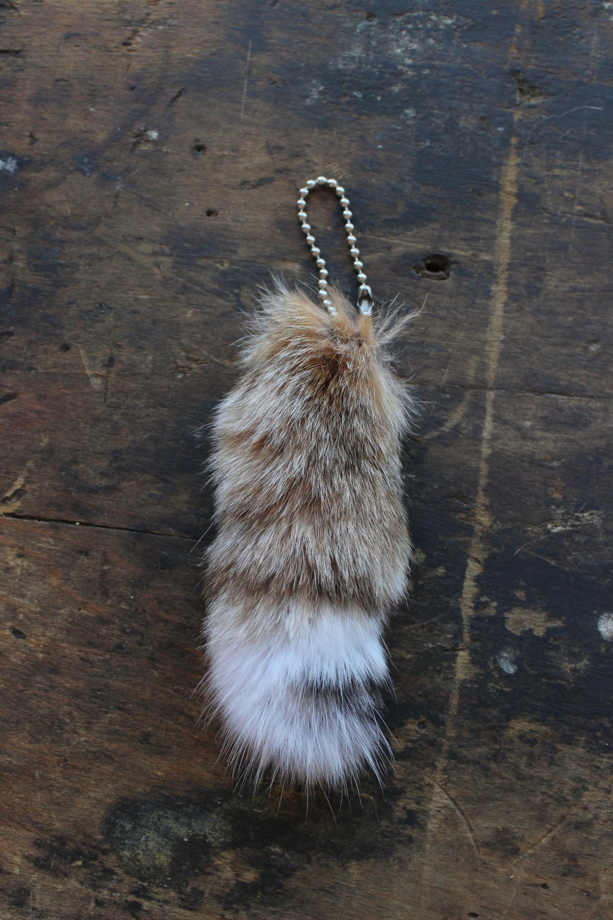 Bobcat Tail Keychains - Small