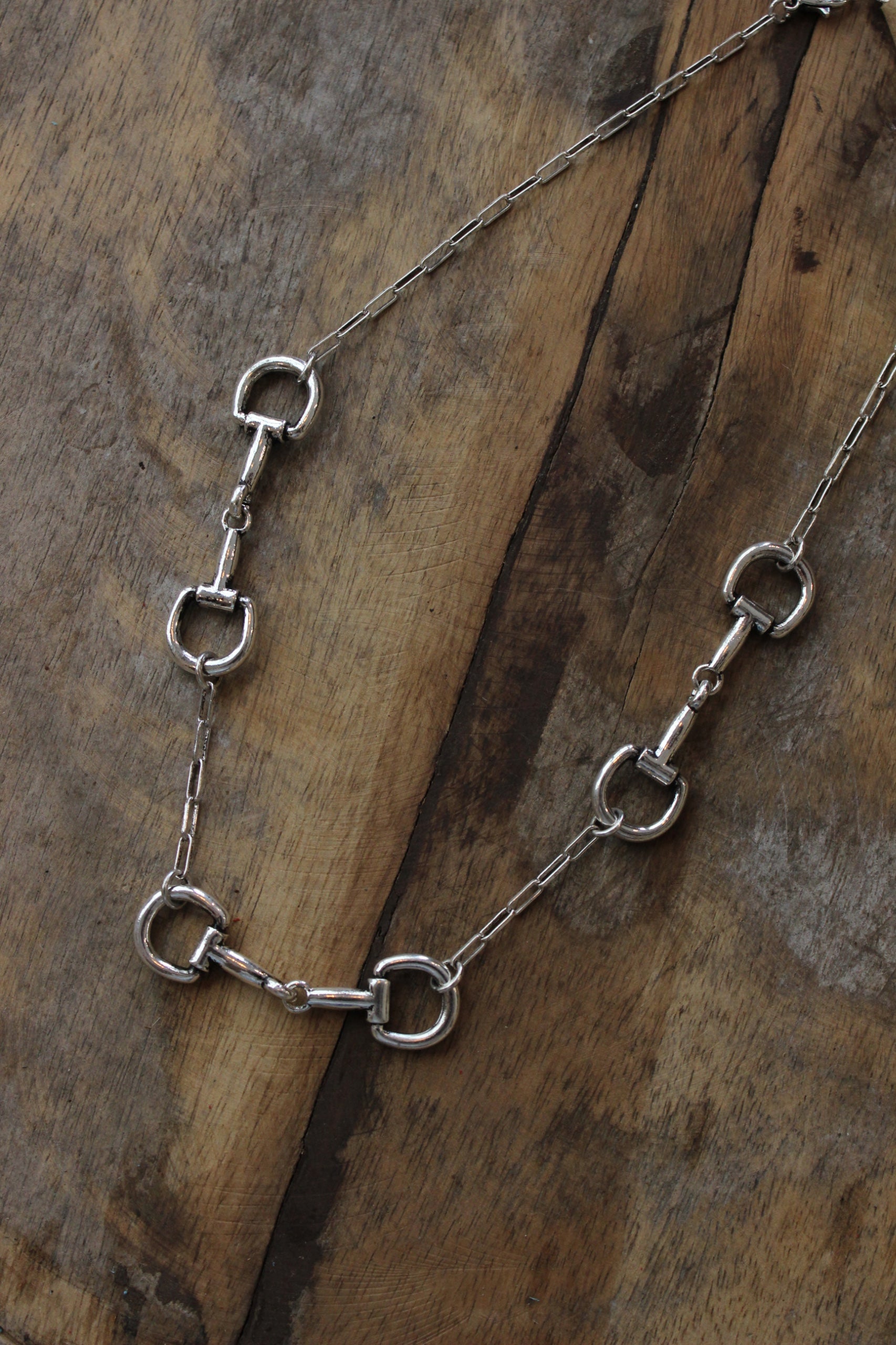Snaffle Bits Necklace