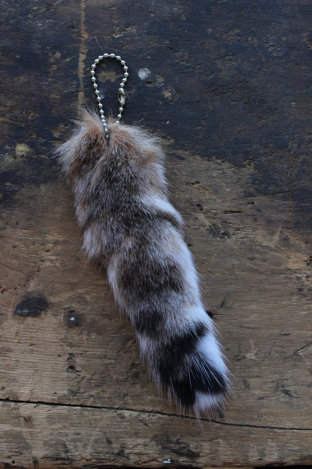 Bobcat Tail Keychain - Large