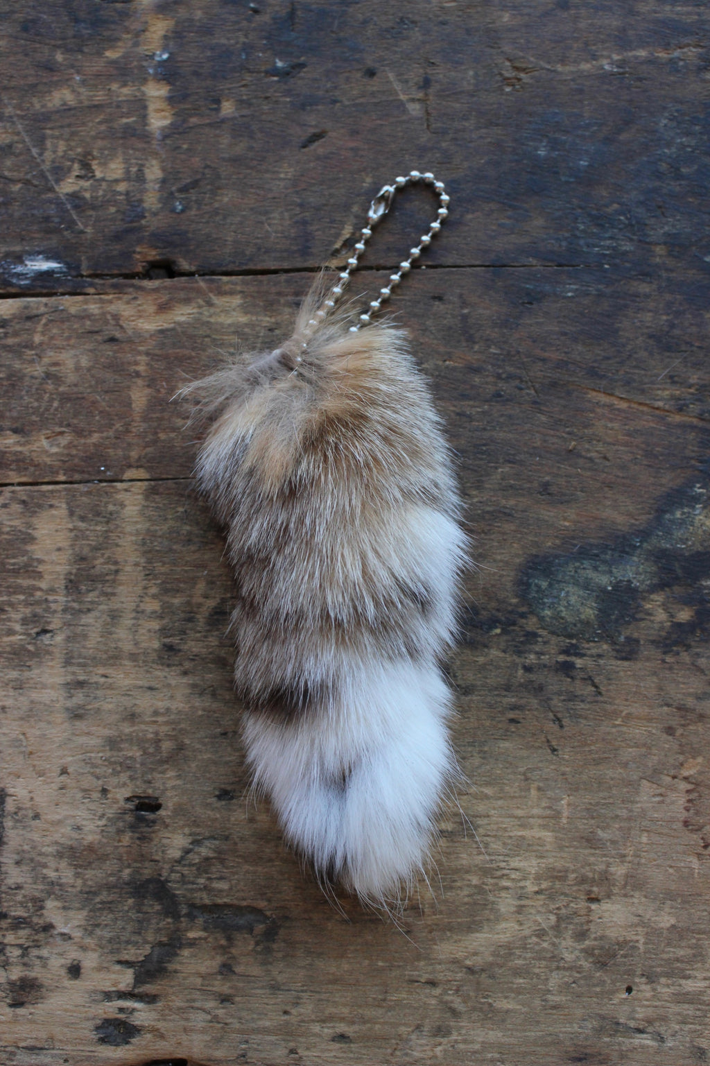 Bobcat Tail Keychains - Small